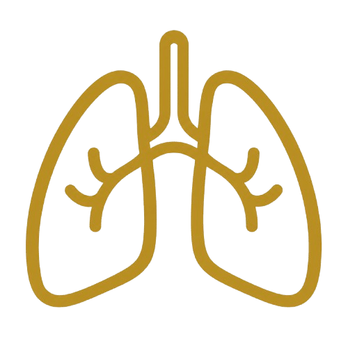 Respiratory symptoms medical care